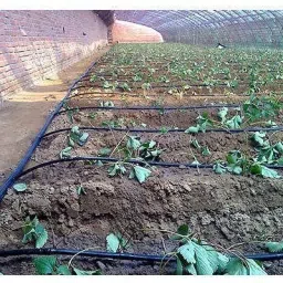16mm Flat Inline Drip Lateral 0.2 Thickness 16-4-50/1000 Drip Irrigation Kit-13