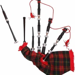Wood Bag Pipe (Black) Great Highland Bagpipes-24