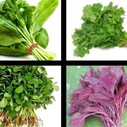 Green Spinach-Palak, Coriander-Dhaniya, Fenugreek-Methi & Red Seed-image-1