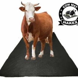 Cow Mat For all pet animals, BPA Free, Easy Clean And Waterproof Cow, Hamster Pet Mat-image-96