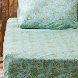 TEAL BY CHUMBAK Persian Pottery Teal Blue Cotton 104 TC Queen Bedsheet 2 Pillow Covers-image-30