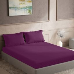 TARA- Sparkling Homes Purple Cotton 300 TC King Bedsheet With 2 Pillow Covers-image-6