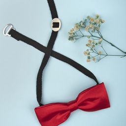 Arendelle Boys Red & Black Satin Bow Tie-24