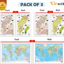 Packof3|2IN1CHATTISGARHPOLITICAL&PHYSICAL,&WORLDPOLITICAL&PHYSICALMAPCharts-image-30