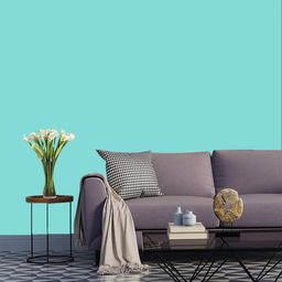 Jaamso Royals Light blue Plain Self Adhesive, Peel & stick wallpaper-picture-42