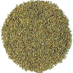 Premium Quality Bajra Seeds for Birds (Perl Millet) 2 kg Dry Adult, Young, Senior Bird Food-image-63