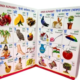 Board Book For Kids to Learn Alphabet, Numbers, Shapes and Colours-image-41