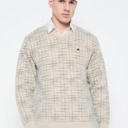 Men Self Design V Neck Beige Sweater-image-72