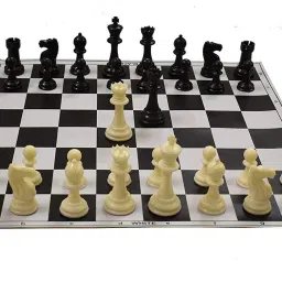 17'' x 17'' Tournament Chess Vinyl Foldable With TWO EXTRA QUEENS 10 cm Chess Board-picture-14
