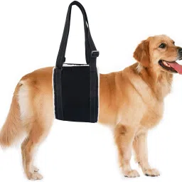Lifestyle Dog Hip Support Harness to Help Lift Rear for Canine Aid Old K9 C Safety Harness-picture-24