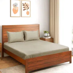 saral home Beige Solid 300 TC Cotton King Bedsheet with 2 Pillow Covers-picture-14