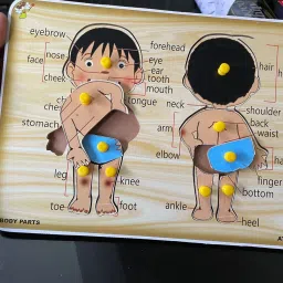shalafi Human Parts Of Body Name Wooden Puzzle Board Game Blocks Learning Toy For kids image 5