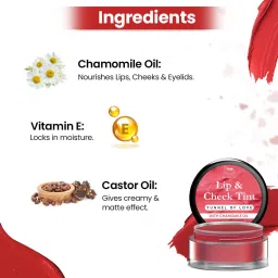 tnw - the natural wash Lip & Cheek Tint (Tunnel of Love)|With Vitamin E|Nourishing & Highly Blendable Rosehip Oil image 4