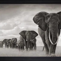 saf Elephants Large Synthetic Framed UV Digital Reprint 14 inch x 20 inch Painting Paper Print-picture-34