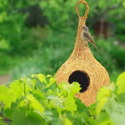 LIVEONCE Natural bhaya Bird nest for Cages and breeding for All Medium,Small Birds with self adheshive Hanging Hooks Pack of 2 image 3