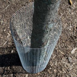 RED WIND Iron Tree Fencing Net/Bird Net 18 Guage HDPE 1 Year Guarantee (3feet Height/10feet Length) UV Stabilized Heavy 800GSM Anti Bird Net with Free 1 Cutter,50PVC Tags Model NO:2 image 2