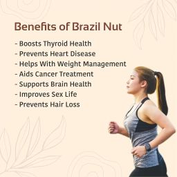 NUTTY ORGANICS Brazil Nuts - 250G (Grade A ++ Nuts, Premium Jumbo Size, Imported) - Richest Natural Source Of Selenium image 5