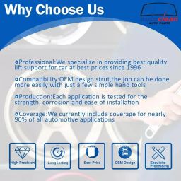 AutoClean Dicky Shocker For Micra (set of 2) image 5