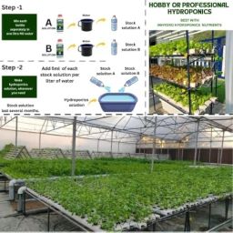 Hydroponic Nutrients– LEAFY200, Hydroponic nutrients, Solid Mixture, Makes 200 Liter hydroponic Solution, Suitable for All Plants & Better Leafies, Complete - Contains Everything image 1