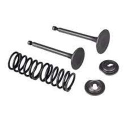 Brush Cutter Spare Parts Set of (6PCS) Inlet Intake Valve Set Suitable for All Type 4 Stroke Machine GX35 for Side Pack & Back Pack image 1