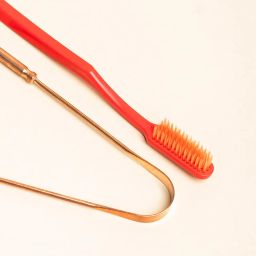 Ozette Travel Kit – Includes 1 Super Soft Sensitive Toothbrush and 1 100% Copper Tongue Cleaner/Scraper with Anti-Bacterial Container, Cover, Holder – Pack of 2, Ideal for Home and Travel Use image 2