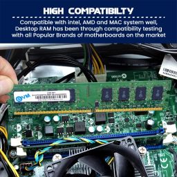 EVM 2GB DDR2 Desktop RAM 667MHz Long-DIMM Memory - Boost Your Computer's Performance with Reliable and Efficient Memory Upgrade - 10 Year Warranty (EVMT2G6670U86P) image 4