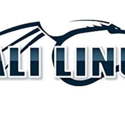 Kali Linux New Latest Version Ethical Hacking on 16 GB USB: 64 & 32 Bit image 3