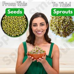 Sprouts Maker Glass Jar – 720ml Durable & Reusable Sprouter for All Seeds and Beans, BPA-Free with 300-Hole Mesh Lid for Airflow, Odor-Free, Easy Drainage, and Hygienic Glass Design – Green image 5