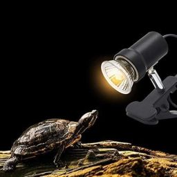AquaNature Turtle UVB+ UVA 3.0 220-240v Halogen Lamp for All Turtle & Reptiles (75 w) image 3