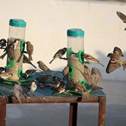 Amijivdaya Large Bird Feeder with Holding Handle (Pack of 1) image 1
