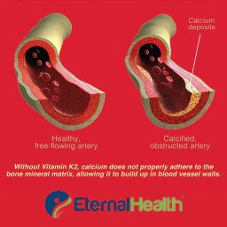EternalHealth Vitamin K2 as MK-7, High potency form of K2-180 Vegetable Capsules image 3