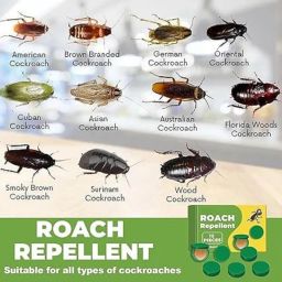Natural Cockroach Killer Gel (Pack of 12) | Eco-Friendly Pest Control for Kitchens, Bathrooms & Cabinets | Indoor Cockroach Bait & Repellent | Long-Lasting Formula image 5