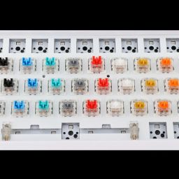 LOOM TREE 3Pin Mechanical Keyboard Switches RGB LED SMD Gaming for Keyboard Beginner Purple Keyboards, Mice & Pointers | Keyboards & Keypads image 3