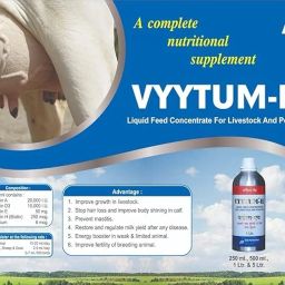 Aurous Vyytum-H Veterinary Vitamin H for Cow, Cattle, Poultry & Livestock Animals/Vitamin H with Vitamin D3 and Vitamin E Liquid Feed Supplement for Cattle, Cow and Farm Animals/Pack of 1 Liter image 2