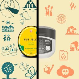 Shlox Bay Nut Jelly with Shea Butter and Jojoba Oil, Real Lavender Fragrance, The Natural Petroleum Jelly alternative, 50gm image 2
