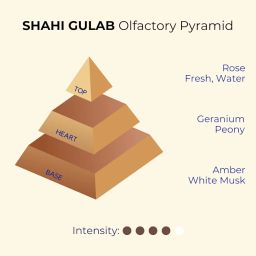 Shahi Gulab | Premium Rose damascena Perfume Oil for Devotional & Daily Use | Attar 10ml image 3