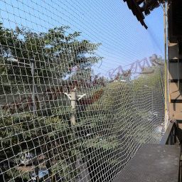 Anti Bird Net/Garden net/Balcony Net 6x10 White (183cmX305cm 25 mm Hole), with Required Installation Clips image 5
