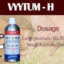 Aurous Vyytum-H Veterinary Vitamin H for Cow, Cattle, Poultry & Livestock Animals/Vitamin H with Vitamin D3 and Vitamin E Liquid Feed Supplement for Cattle, Cow and Farm Animals/Pack of 1 Liter image 4