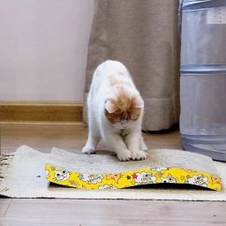 Emily Pets Cat Scratcher Cardboard 2 in 1 Reversible Scratching Pad Recyclable Corrugated Scratch Toy with Wave Shape & 10ML Catnip Cat Scratch Lounge for Furniture Protection Scratch Board image 5