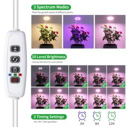 THE LEGACY thelegacyindia.in Grow Light for Indoor Plants, Full Spectrum LED, Adjustable Height and Brightness, Timer, Ideal for Small Plants (Multi Color Light) (Multi Color) image 3