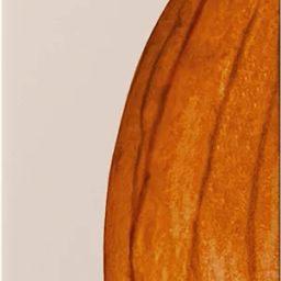 Raw Pressery Almond Beverage Cacao (2 x 1000ML) 100% Lactose-Free, Plant Protein image 3