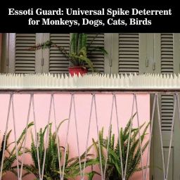 Essoti Guard: Universal Spike Deterrent for Monkeys, Dogs, Cats, Birds Pack of 5- Ideal for Railings, AC Units, and More! (White, 5) image 5
