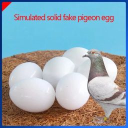 False Egg Dummy Egg Fake Egg Pigeon for Hatch Incubation Breeding Pigeon Hatching Supplies Simulation for Hatch Breeding (10) image 3