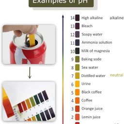 Definite Universal indicator pH 1-14 Test Indicator pH Paper, ph Meter, for Water Testing, Water and Soil testing (100 Strips) for School College Home Lab image 1