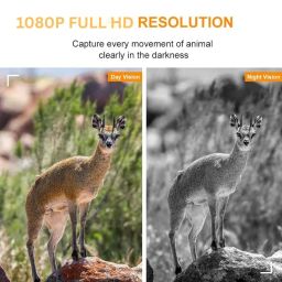 AJUK T5 Trail Camera 64MP with 1080P Full HD Video, 0.7s Trigger Speed, 60° Wide Angle Lens, IR & Xenon Flash Night Vision, IP68 Waterproof, for Wildlife Forest Monitoring & Farm Security image 3