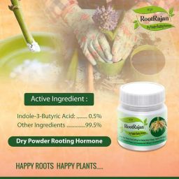 RootRajan Fast Root Powder (100gm) – Boosts Propagation Success & Root Development for Plants Plants Cuttings-Ideal for rapid rooting & propagating all plants-Enhances Root Development (1) image 3