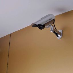 divinezon Fake Security CCTV Bullet Camera with Red Flashing Light | Pack of 1 | Silver image 2