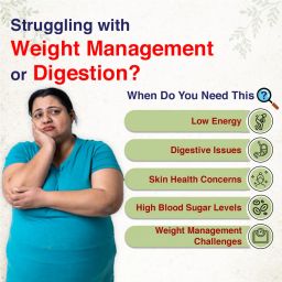 Demystik ACV I Apple Cider Vinegar, with Pre-Pro Biotics I Helps in Heart Wellness, Regulate Blood Glucose & Boosts Metabolism | No Maltodextrin & Added Sugar I Green Apple Flavored, 80 Eff. Tablets image 3