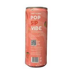 The Good Vibe Guava Chilli Signature Mocktail | 250 ML | Pack Of 6 image 2