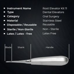 Waldent Root Elevator Instruments Kit Set of 11 (K2/4) | Premium Dental Tools for Tooth Extraction | Precision Surgical Elevators for Oral Surgery, Hygiene & Professional Use image 4